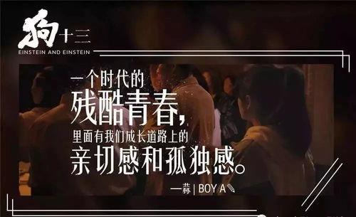 狗十三电影在线观看高清